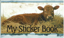 Image of My Sticker Album – Calf – Collector’s Album