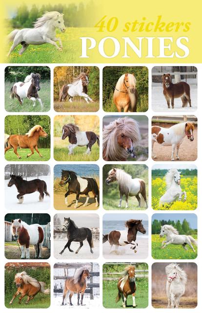 616-1495 Product Image 1