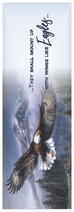Image of Bookmark Eagle