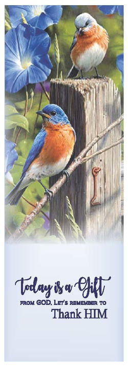Image of Bookmark Bluebird NA