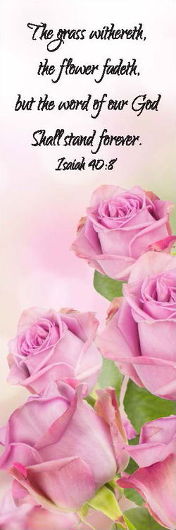 Image of Bookmark Pink Rose