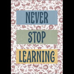 Image of Never Stop Learning Positive Poster