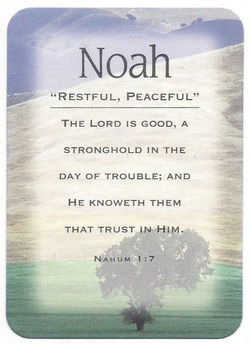 Image of Names to Remember: Christian