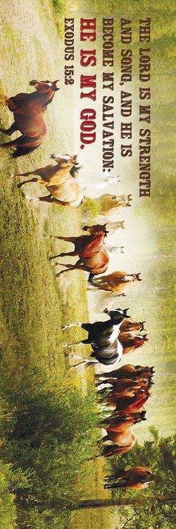 Image of Bookmark: My God