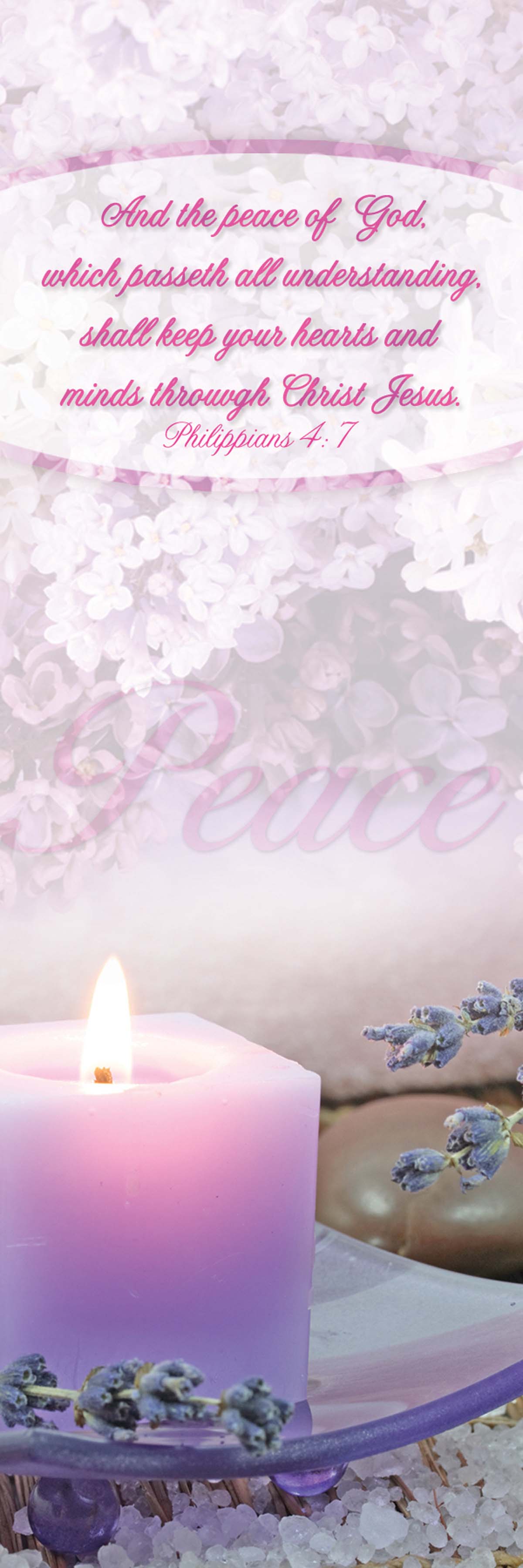 618-2782 Product Image 1