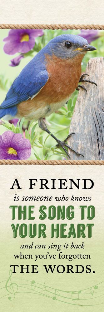 Product 618-2796 - View 1 618-2796 Product Image 1