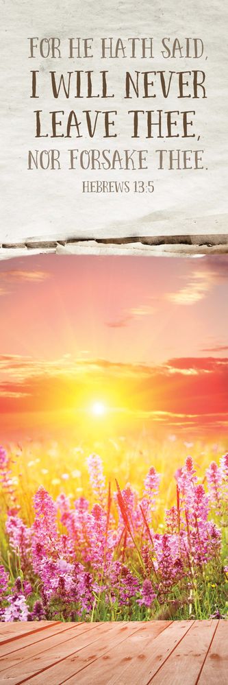 618-2801 Product Image 1