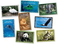 Image of God, Our Creator Bulletin Board