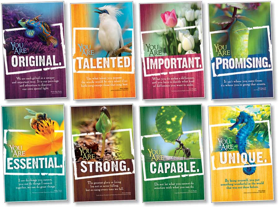 618-3173 Product Image 1