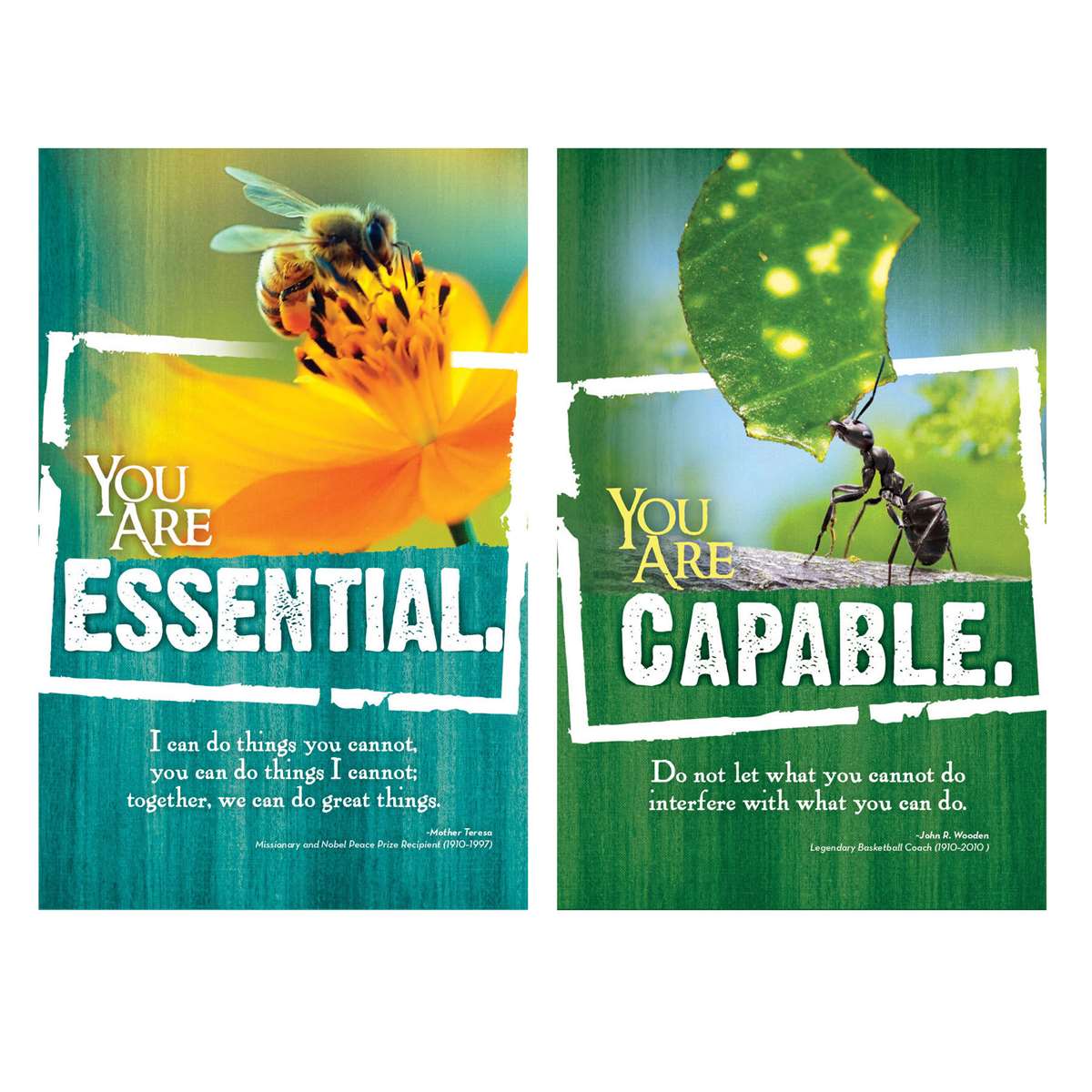 618-3173 Product Image 3