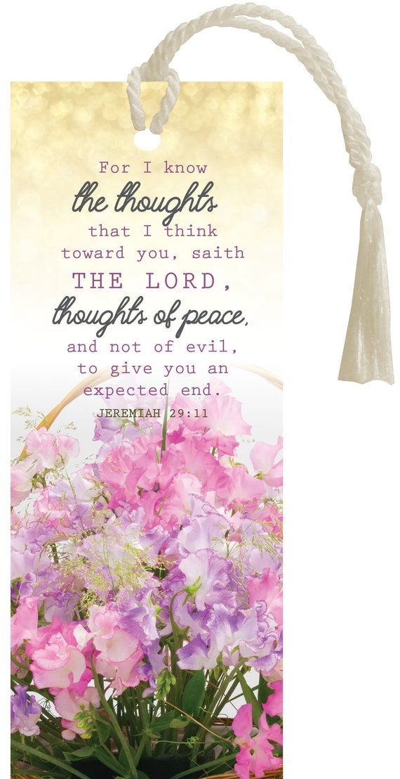 618-3419 Product Image 1