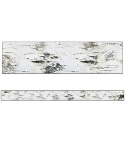 Image of Straight Borders Woodland Whimsy Birch Tree