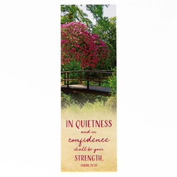 Image of Bookmark Confidence