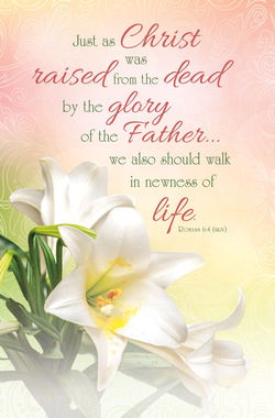 Image of Bulletin – Easter Just As Christ Was Raised – 100pk