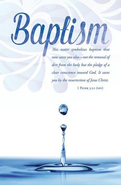 Image of Baptism Standard Bulletin 1 Peter 3:21