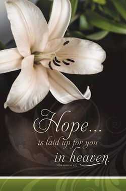 Image of Bulletin-Hope Is Laid Up For You In Heaven -Colossians 1:5 -Pkg-100