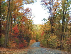 Image of Autumn Scene Attendance Charts