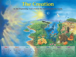 Image of Creation Wall Chart-Laminated