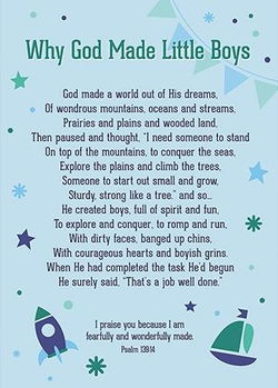 Image of Large Posters: Why God Made Little Boys 13.5′ x 19”