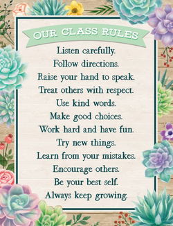 Image of Rustic Bloom Our Class Rules Chart