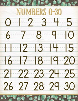 Image of Eucalyptus Numbers 0-30 Chart