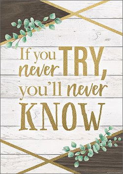 Image of Positive Poster If You Never Try, You’ll Never Know