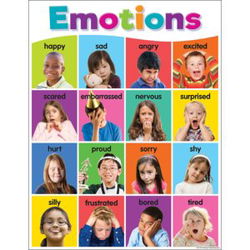 Image of Emotions Chart Colorful 17′ x 22”