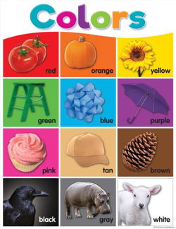 Image of Colours Chart Colorful 17″ x 22″