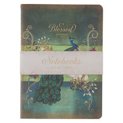 Image of Notebook Set 3pc Blue/Green, Blue Jer. 17:7, Cream