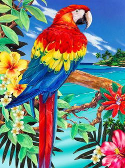 Image of Paint By Number Scarlet Macaw – Junior Small