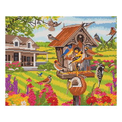 Image of CA Mounted Kit (Lg): Garden Birds