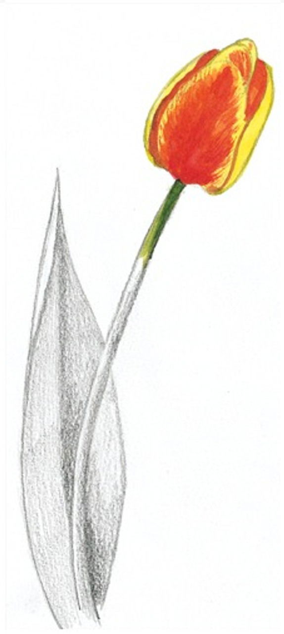 640-1000 Product Image 4