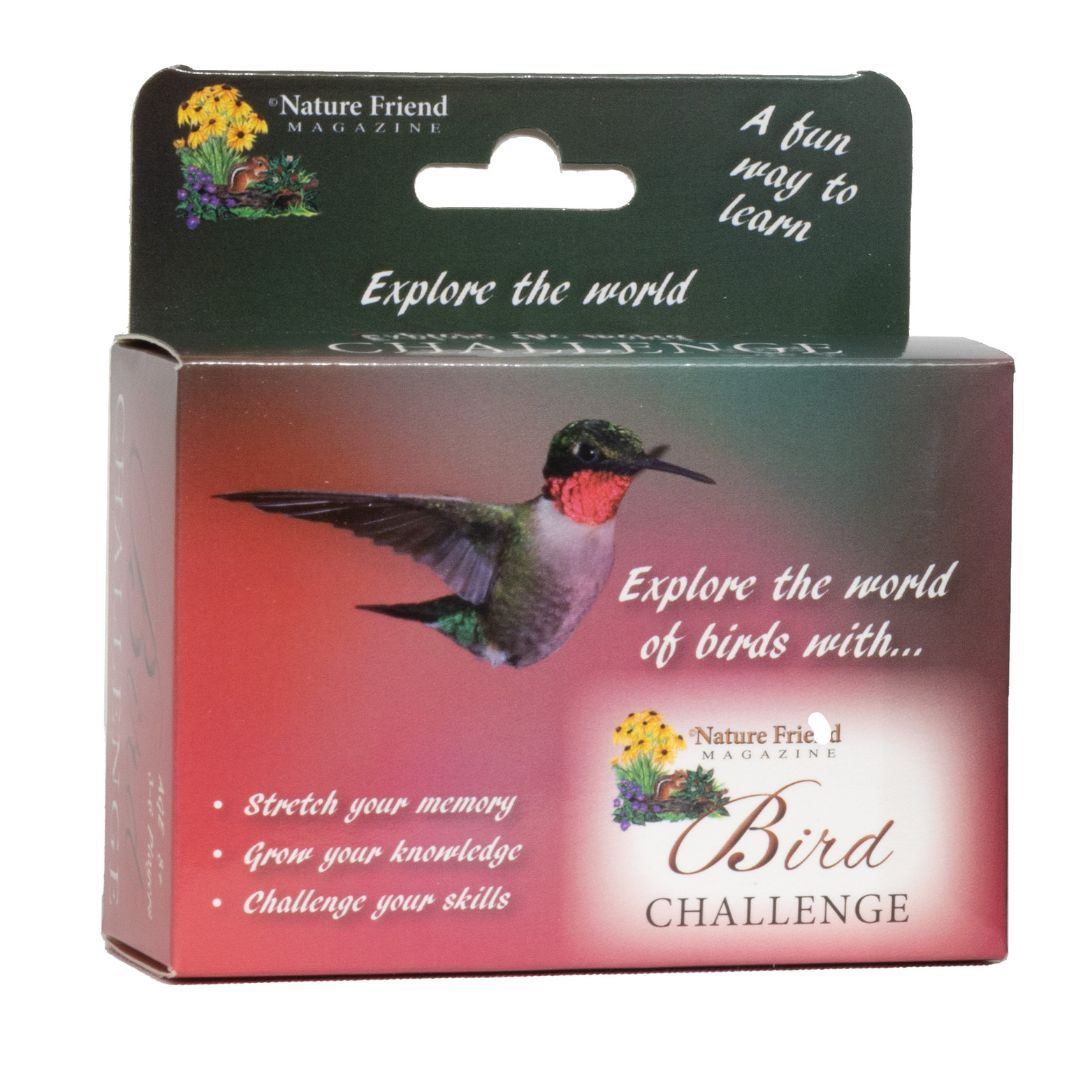 Image of Bird Challenge Game