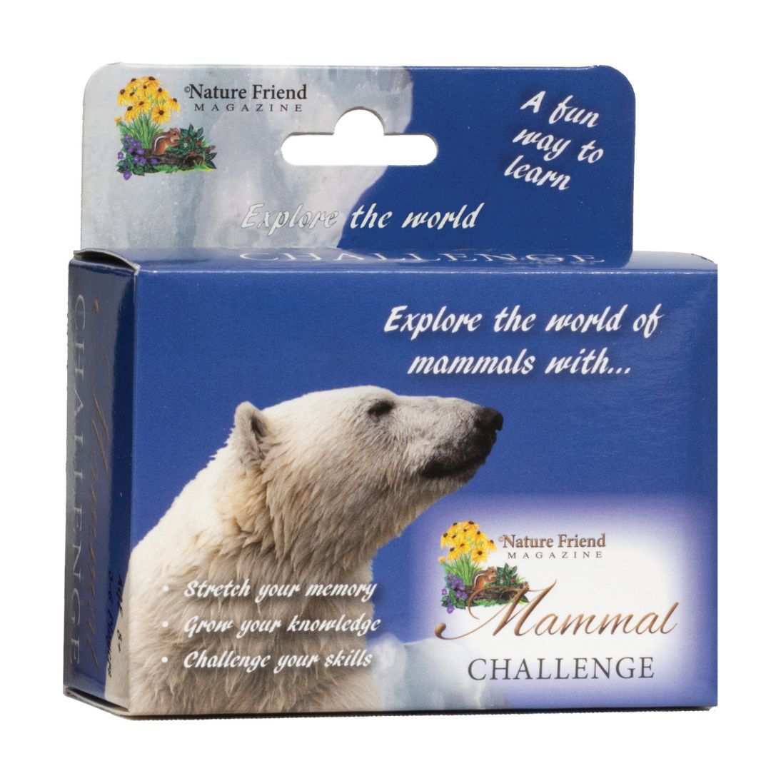 Product 650-0224 - View 1 650-0224 Product Image 1