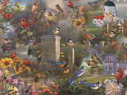 Image of Songbird Collage – 1000pc Puzzle