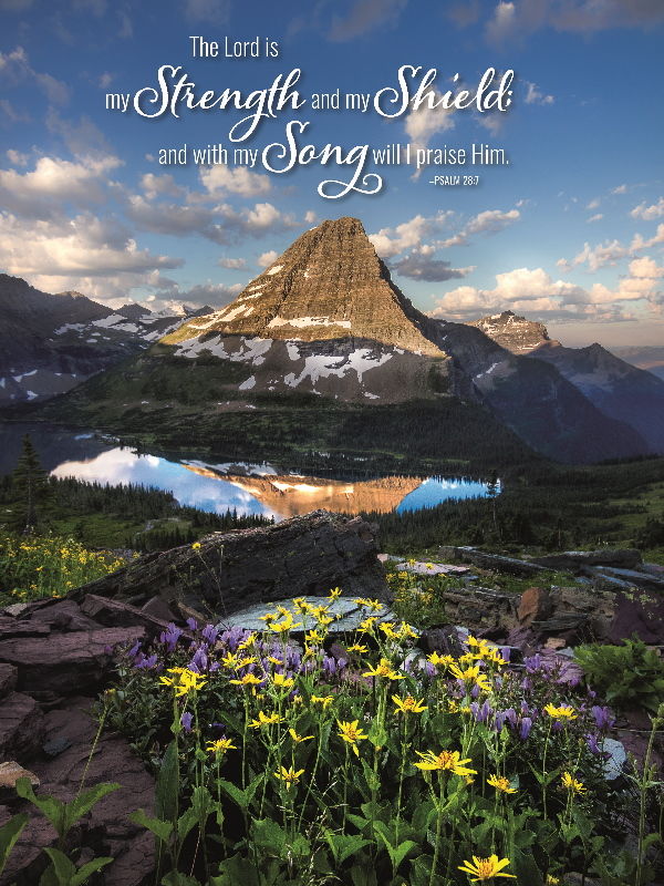 654-0101 Product Image 1