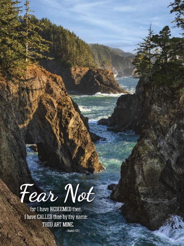 654-0103 Product Image 1