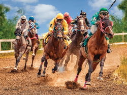 Image of Puzzle Vintage Horse Racing 00441