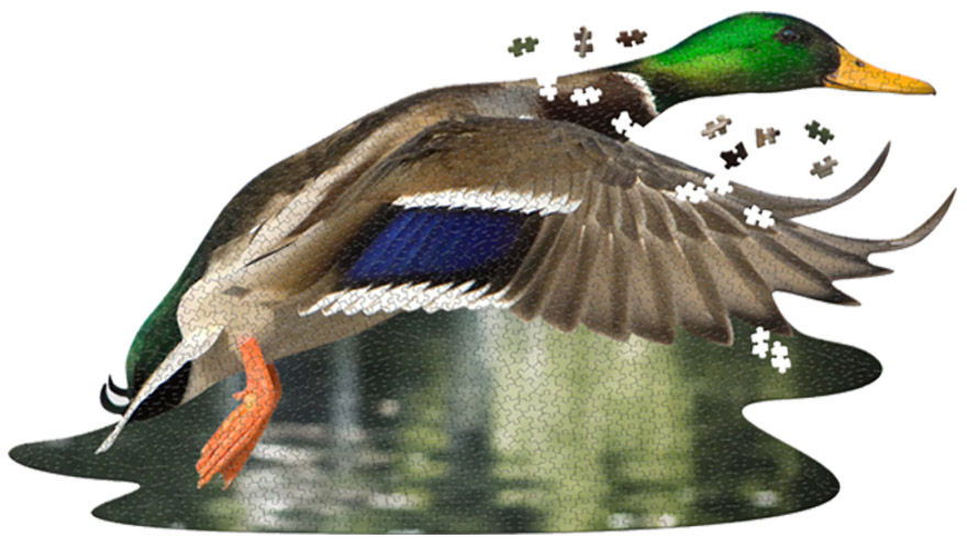 Product 654-0193 - View 1 654-0193 Product Image 1