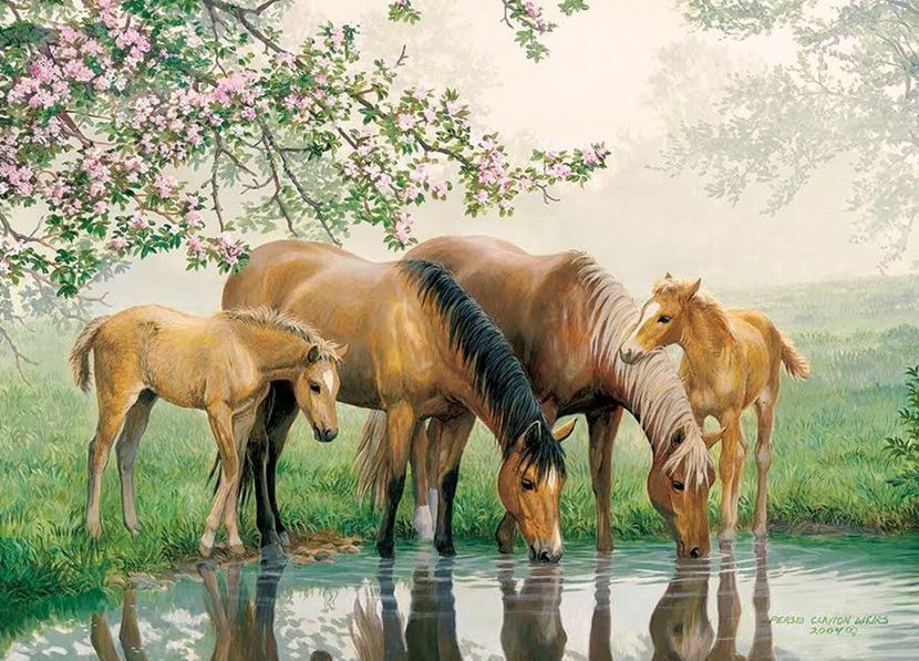 Image of Watering Hole Tray Puzzle