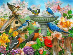Image of 500 Pc Puzzle – Bird Bath