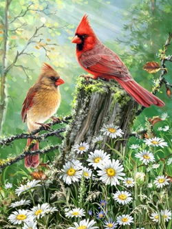 Image of 500 Pc Puzzle – Golden Light