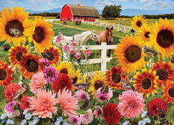 Image of Sunflower Farm 1000 Pc.