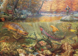 Image of Autumn Dream Day 1000 Pc