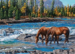 Image of 1000 Pc Puzzle – On the Rocks