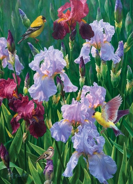 Product 654-0559 - View 1 654-0559 Product Image 1