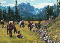 Image of Puzzle Horse Meadow 1000 pc