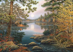 Image of 1000 Pc Puzzle Deer Lake – Discontinued