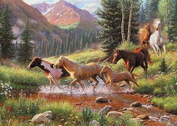 Image of Puzzle Tray Horses Stream 35 pc