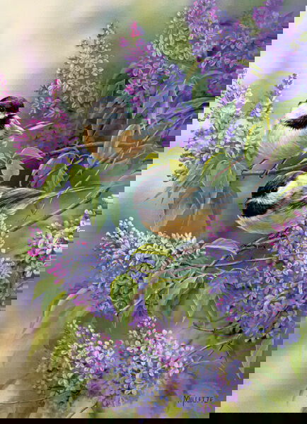 Product 654-0625 - View 1 654-0625 Product Image 1